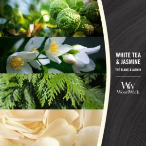 WoodWick świeca premium - WHITE TEA & JASMINE elipsa